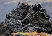 Вулканические горные породы