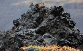 Вулканические горные породы